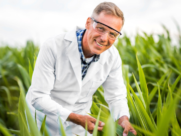 Fondo ingenieria agroindustrial